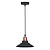 Подвесной светильник Arte Lamp A5067SP-1BK