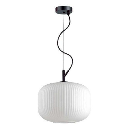 Подвесной светильник Odeon Light Roofi 4754/1 Подвесной светильник Odeon Light Roofi 4754/1
