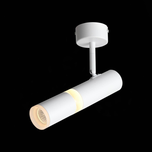 Светодиодный спот ST Luce Escopio ST106.502.08 Светодиодный спот ST Luce Escopio ST106.502.08