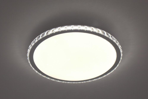 Потолочный светодиодный светильник Escada 10270/S LED