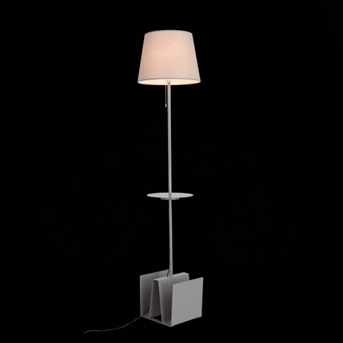 Торшер ST Luce Portuno SLE301.705.01