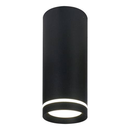 Потолочный светодиодный светильник Escada 20009SMU/02LED SBK Потолочный светодиодный светильник Escada 20009SMU/02LED SBK