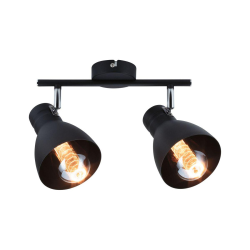 Спот Paulmann Davy 66760