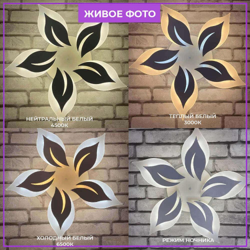 Потолочная люстра Seven Fires Omenya 75391.01.09.05 Потолочная люстра Seven Fires Omenya 75391.01.09.05