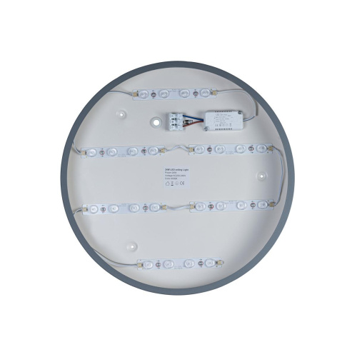 Потолочный светодиодный светильник Loft IT Axel 10003/24 grey Потолочный светодиодный светильник Loft IT Axel 10003/24 grey