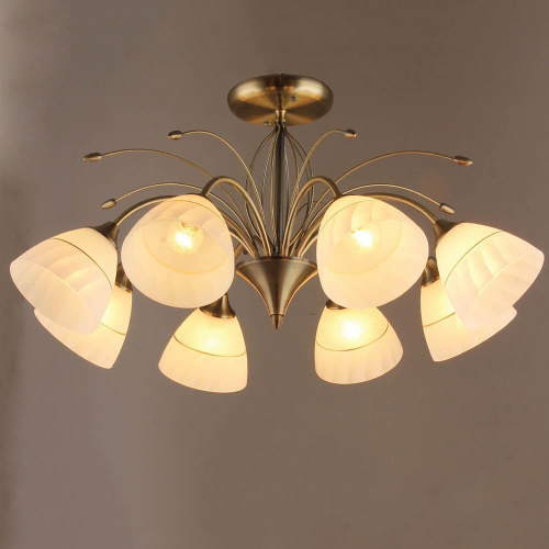 Потолочная люстра Hiper Evelina H026-8 Потолочная люстра Hiper Evelina H026-8