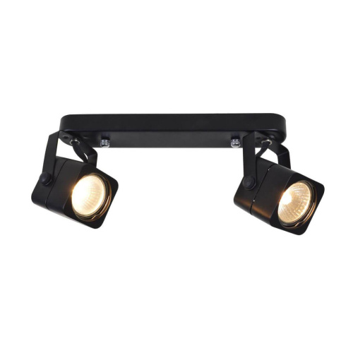 Спот Arte Lamp Lente A1314PL-2BK Спот Arte Lamp Lente A1314PL-2BK