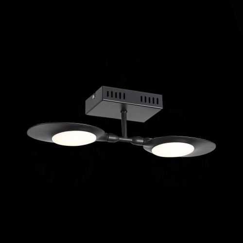 Потолочная светодиодная люстра ST Luce Farfalla SL824.401.02 Потолочная светодиодная люстра ST Luce Farfalla SL824.401.02