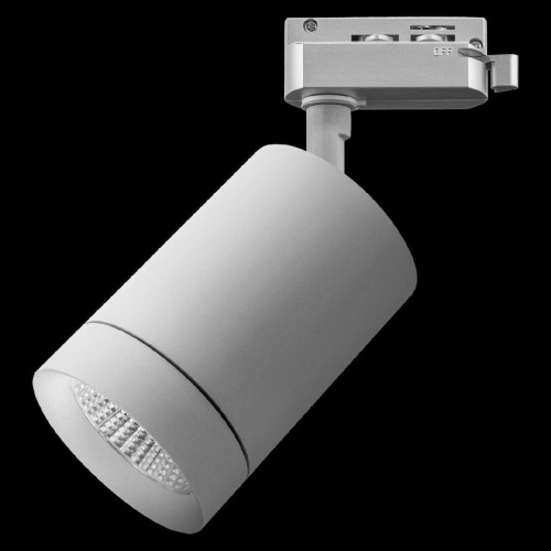 Трековый светодиодный светильник Lightstar Canno Led 303294