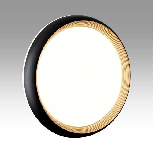 Настенно-потолочный светодиодный светильник Sonex Pale Tofiq Black 7651/EL Настенно-потолочный светодиодный светильник Sonex Pale Tofiq Black 7651/EL