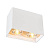 Потолочный светильник Zumaline Ronbox sl ACGU10-064
