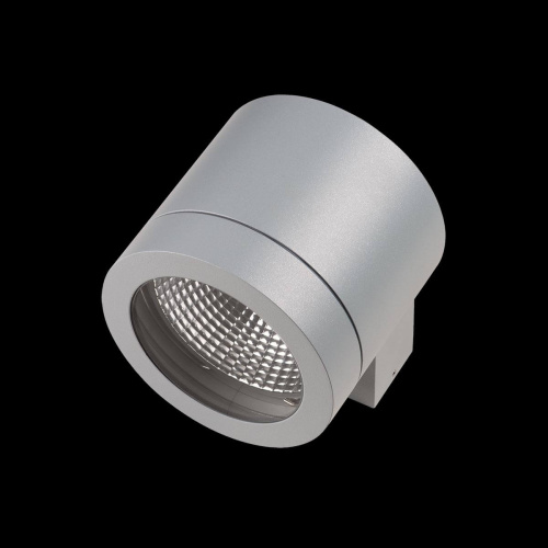 Уличный настенный светильник Lightstar Paro 350619 Уличный настенный светильник Lightstar Paro 350619