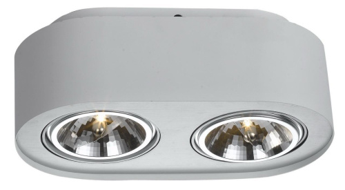 Потолочный светильник Arte Lamp Cliff A5643PL-2WH Потолочный светильник Arte Lamp Cliff A5643PL-2WH