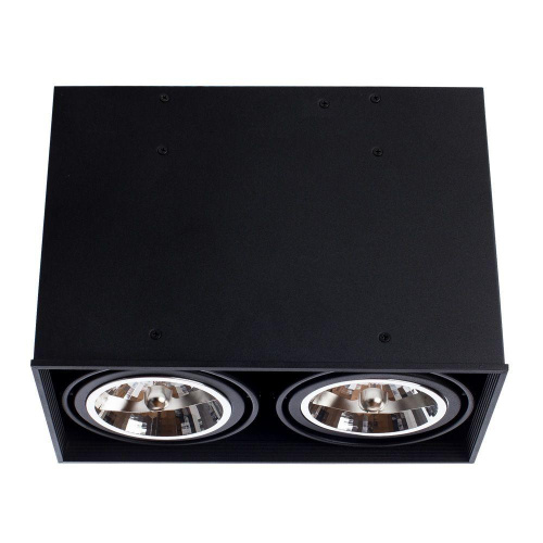 Потолочный светильник Arte Lamp Cardani A5936PL-2BK Потолочный светильник Arte Lamp Cardani A5936PL-2BK