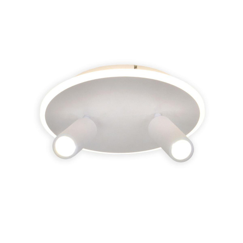 Потолочный светодиодный светильник Escada 20046SMA/02LED WH Потолочный светодиодный светильник Escada 20046SMA/02LED WH