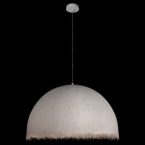 Подвесной светильник Loft IT Plancton 10372/800 Подвесной светильник Loft IT Plancton 10372/800