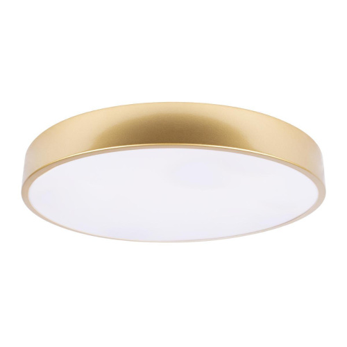 Потолочный светодиодный светильник Loft IT Flims 10228/A Потолочный светодиодный светильник Loft IT Flims 10228/A