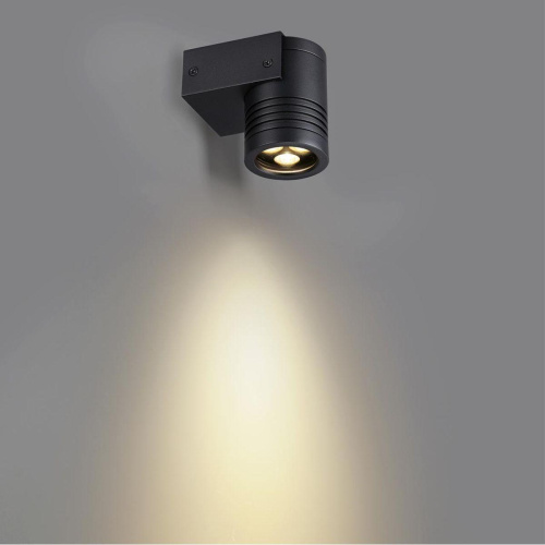 Уличный настенный светодиодный светильник Odeon Light Nature Stima 6648/6WL3 Уличный настенный светодиодный светильник Odeon Light Nature Stima 6648/6WL3