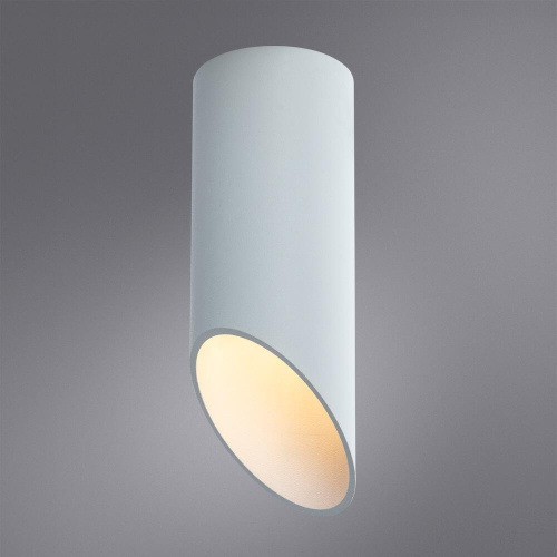 Потолочный светильник Arte Lamp Pilon A1615PL-1WH Потолочный светильник Arte Lamp Pilon A1615PL-1WH