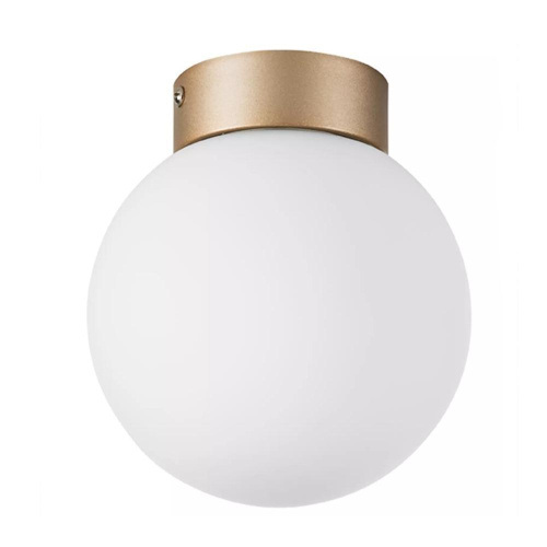 Настенно-потолочный светильник Lightstar Globo 812013 Настенно-потолочный светильник Lightstar Globo 812013