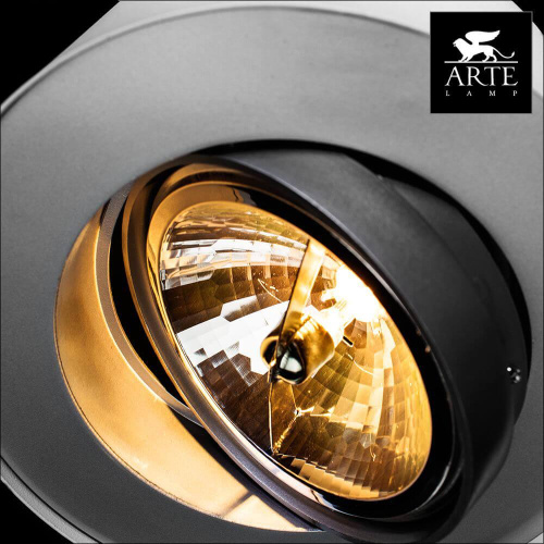 Потолочный светильник Arte Lamp Cliff A5643PL-1WH Потолочный светильник Arte Lamp Cliff A5643PL-1WH