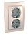 Розетка двойная Schneider Electric Unica с/з со шторками 10A 250V MGU23.067.25D