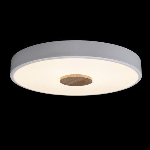 Потолочный светодиодный светильник Loft IT Axel 10003/24 white Потолочный светодиодный светильник Loft IT Axel 10003/24 white