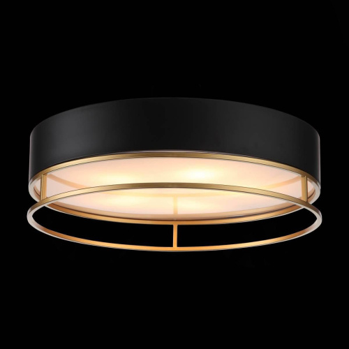 Потолочный светильник ST Luce Chodo SL1127.432.05 Потолочный светильник ST Luce Chodo SL1127.432.05