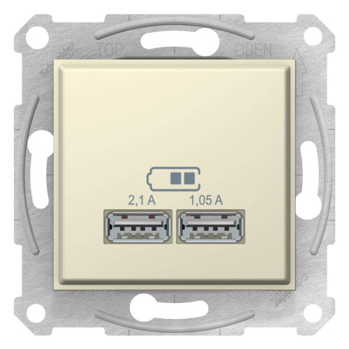 Розетка компьютерная 2xUSB Schneider Electric Sedna 2,1A SDN2710247 Розетка компьютерная 2xUSB Schneider Electric Sedna 2,1A SDN2710247
