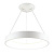 Подвесной светодиодный светильник Aployt Michell APL.052.03.60