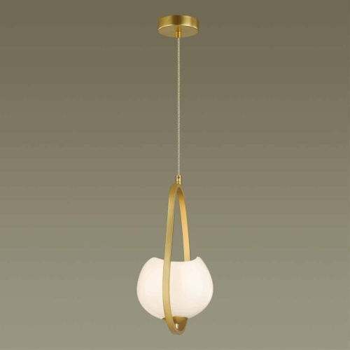 Подвесной светильник Odeon Light Modern Waterlily 4873/1 Подвесной светильник Odeon Light Modern Waterlily 4873/1