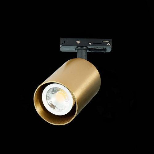Трековый светильник ST Luce ST302.206.01 Трековый светильник ST Luce ST302.206.01