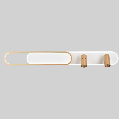 Потолочная светодиодная люстра Favourite Planar 4075-2C Потолочная светодиодная люстра Favourite Planar 4075-2C