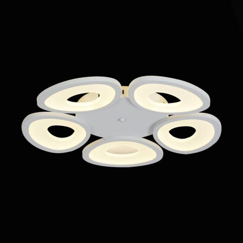Потолочная светодиодная люстра ST Luce SL929.502.05 Потолочная светодиодная люстра ST Luce SL929.502.05