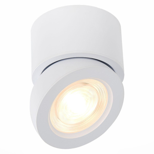 Светодиодный спот ST Luce ST654.542.10 Светодиодный спот ST Luce ST654.542.10