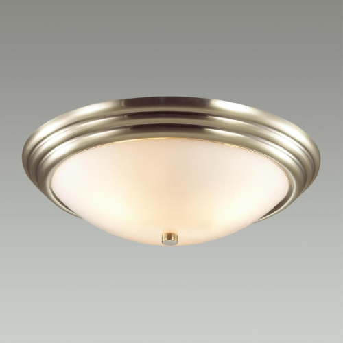 Настенно-потолочный Lumion Vintage Kayla 5262/3С Настенно-потолочный Lumion Vintage Kayla 5262/3С