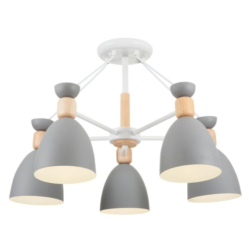 Потолочная люстра Freya Delia FR5033CL-05W Потолочная люстра Freya Delia FR5033CL-05W