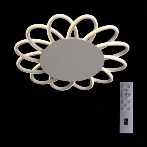 Потолочный светодиодный светильник ST Luce Camomilla SL828.502.12 Потолочный светодиодный светильник ST Luce Camomilla SL828.502.12