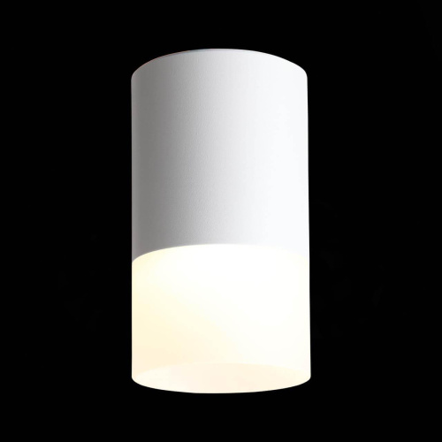 Потолочный светодиодный светильник ST Luce Ottu ST100.502.05 Потолочный светодиодный светильник ST Luce Ottu ST100.502.05