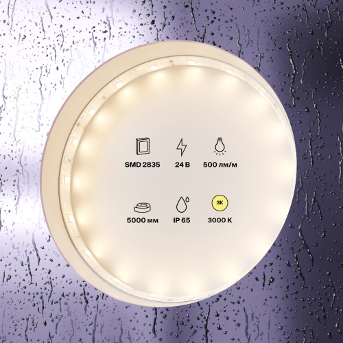 Светодиодная влагозащищенная лента Maytoni Technical 4,8W/m 60LED/m 2835SMD теплый белый 5M 10139 Светодиодная влагозащищенная лента Maytoni Technical 4,8W/m 60LED/m 2835SMD теплый белый 5M 10139