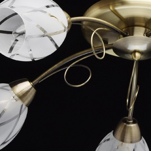 Потолочная люстра MW-Light Грация 358011505 Потолочная люстра MW-Light Грация 358011505