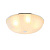 Потолочный светильник F-Promo Costa 2753-5C
