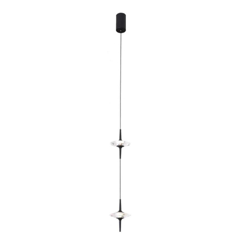 Подвесной светильник ST Luce SL6231.403.02 Подвесной светильник ST Luce SL6231.403.02