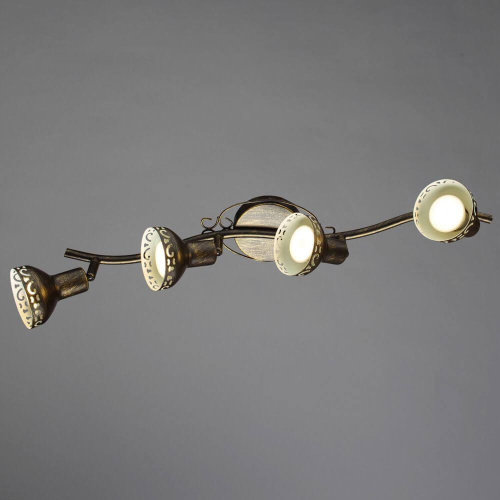 Спот Arte Lamp Focus A5219PL-4BR Спот Arte Lamp Focus A5219PL-4BR