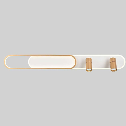 Потолочная светодиодная люстра Favourite Planar 4075-2C Потолочная светодиодная люстра Favourite Planar 4075-2C