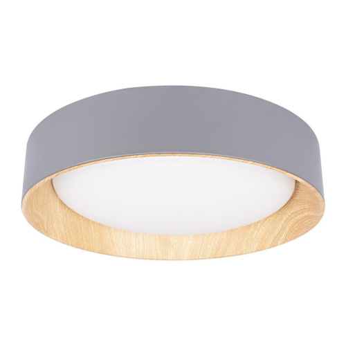 Потолочный светодиодный светильник Loft IT Coin 10202 Grey Потолочный светодиодный светильник Loft IT Coin 10202 Grey