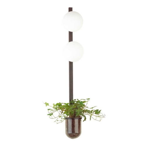 Настенный светильник Odeon Light Flower 4681/2WA Настенный светильник Odeon Light Flower 4681/2WA