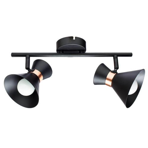 Спот Arte Lamp Baltimore A1406AP-2BK Спот Arte Lamp Baltimore A1406AP-2BK