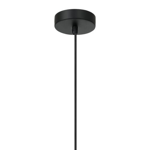 Подвесной светильник Favourite Flumen 2567-1P Подвесной светильник Favourite Flumen 2567-1P