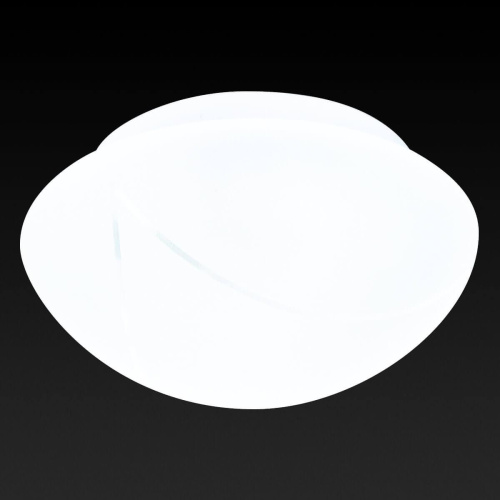 Потолочный светильник Toplight Rosamond TL9420Y-02WH Потолочный светильник Toplight Rosamond TL9420Y-02WH